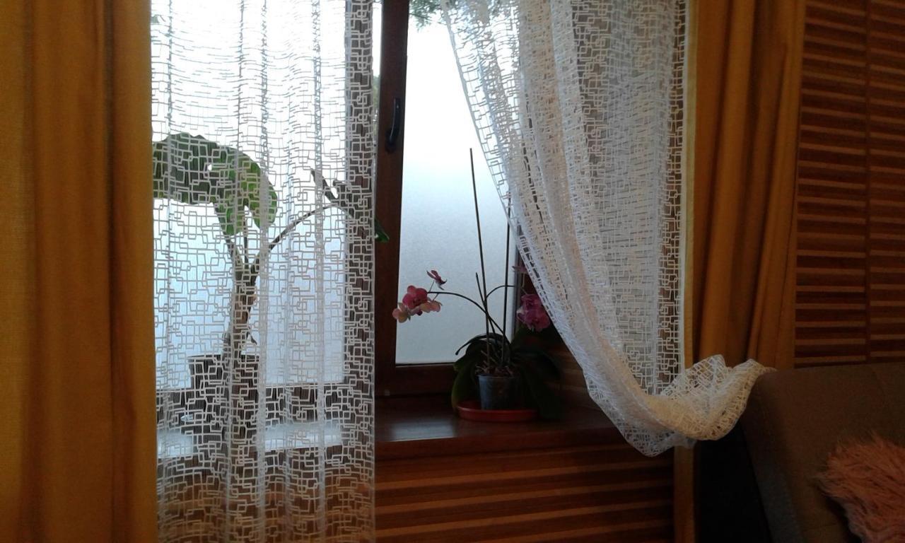 Apartment апартаменты-студио